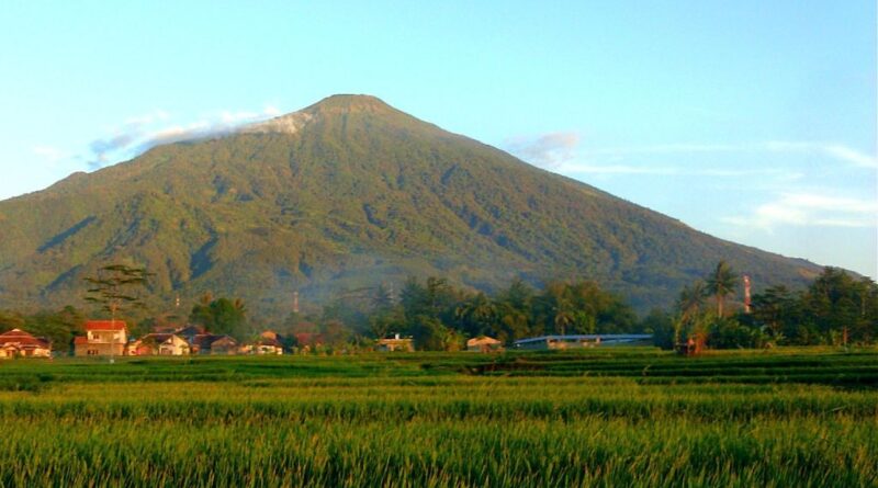 Petualangan Seru Di Desa Cibuntu