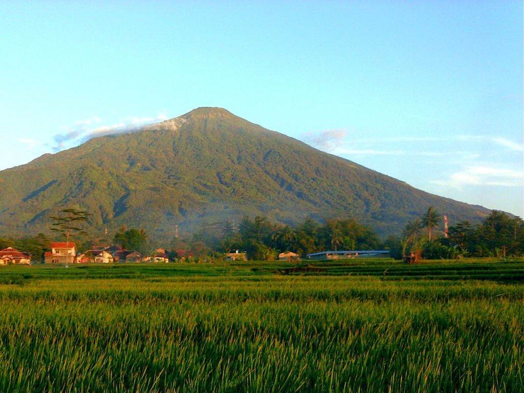 Petualangan Seru Di Desa Cibuntu