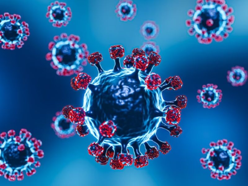 Belum Ada Vaksin Penangkal, Virus West Nile Serang Israel