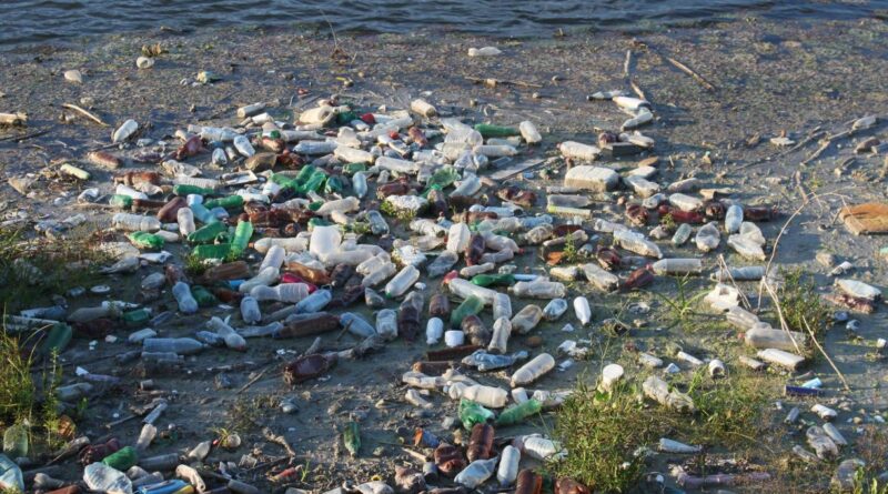 Bahaya Penggunaan Plastik Sekali Pakai Bagi Lingkungan