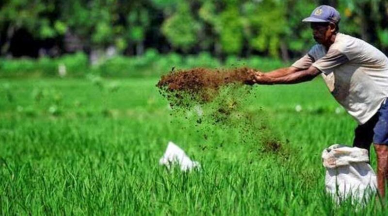 Sektor Pertanian Organik Mendapat Dukungan Pemerintah