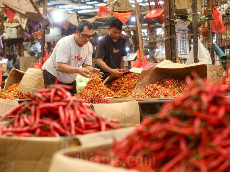 Lonjakan Inflasi 2025: Dampak Terhadap Kesejahteraan Petani