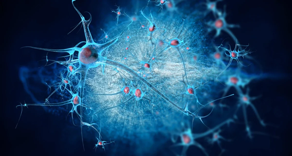 Plastisitas Otak: Kebiasaan Digital Mengubah Struktur Fisik Otak