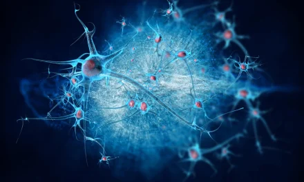 Plastisitas Otak: Kebiasaan Digital Mengubah Struktur Fisik Otak