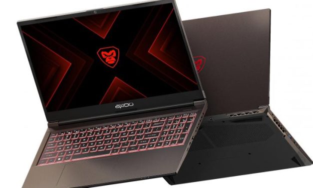 AXIOO Pongo 725 Laptop Lokal Rasa Internasional