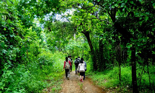 Hutan Sancang Ekosistem Unik Tempat Flora Dan Fauna Endemik