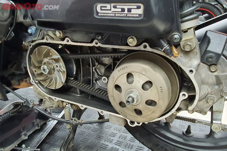 CVT Kotor