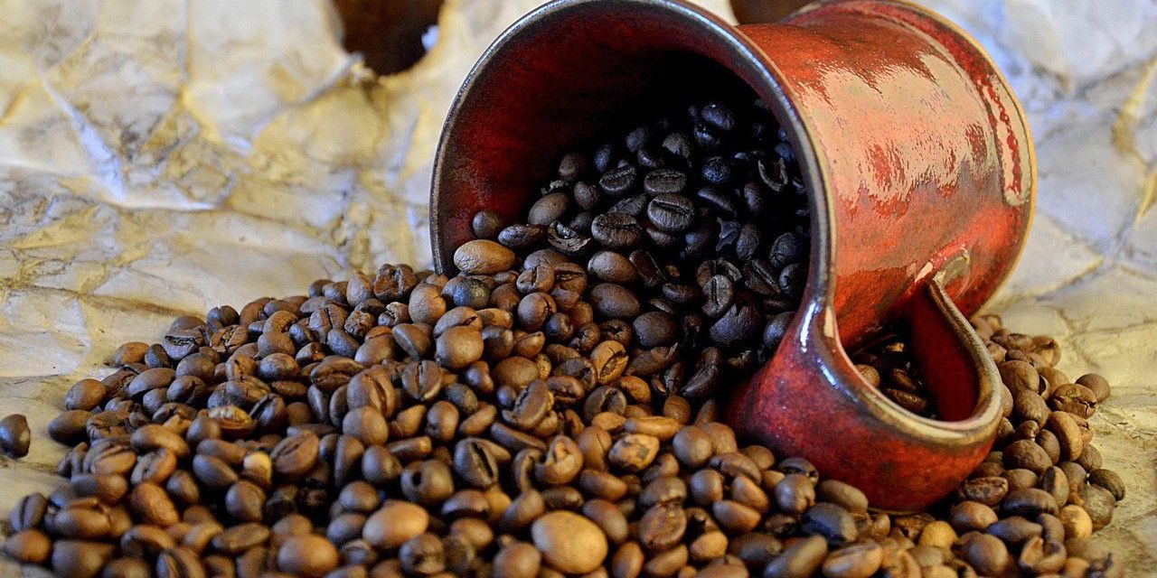 Ciri Khas Kopi Robusta, Rasa Kuat Yang Membekas Di Lidah