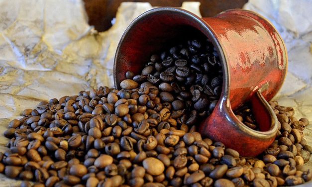 Ciri Khas Kopi Robusta, Rasa Kuat Yang Membekas Di Lidah