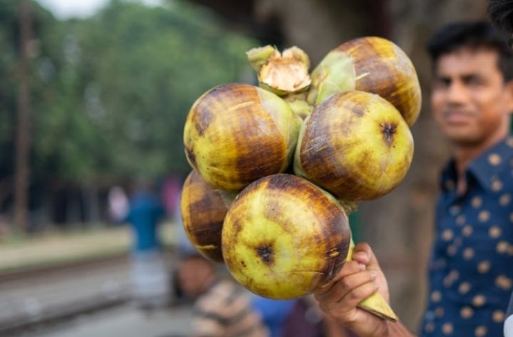 Buah Lontar Segar, Unik, dan Kaya Manfaat untuk Kesehatan