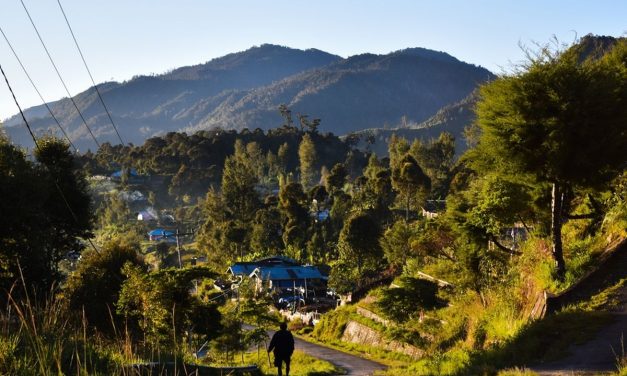 Provinsi Papua Tengah Kini Telah Mengalami Pembangunan Pesat
