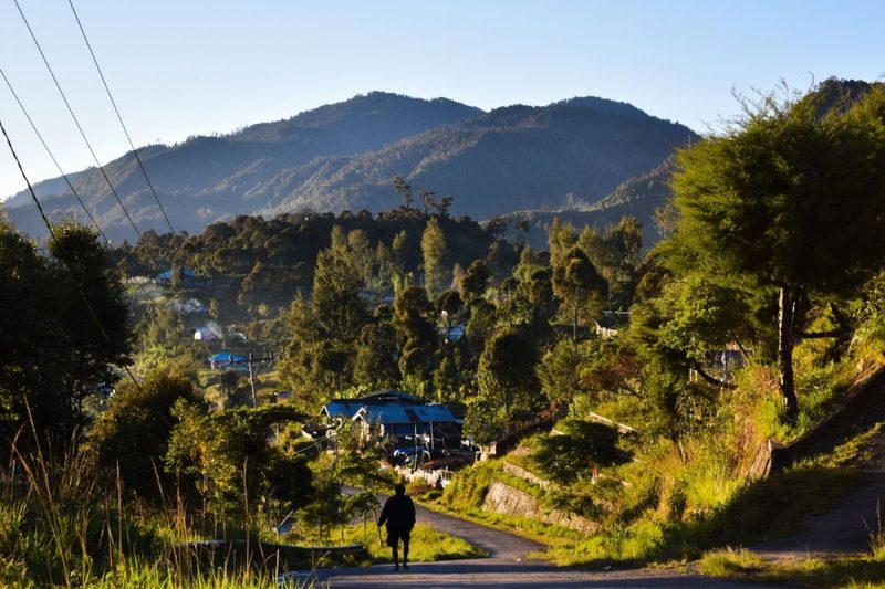 Provinsi Papua Tengah