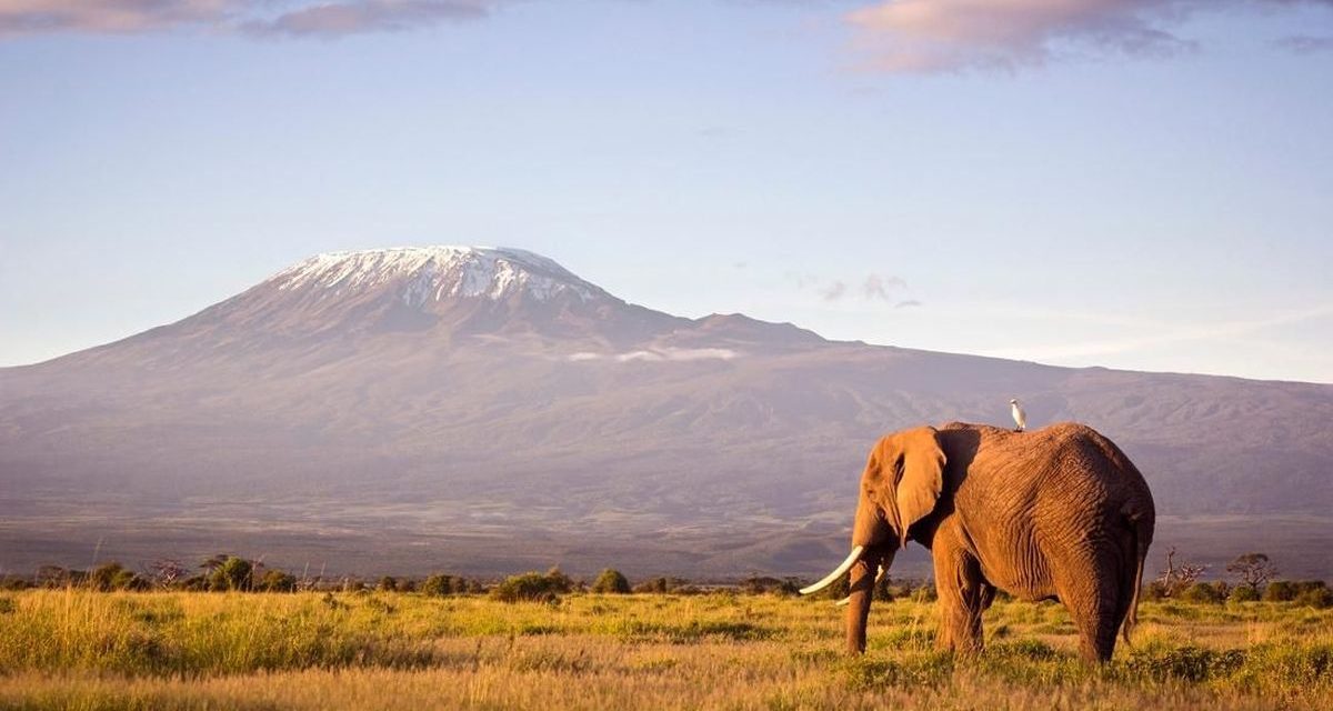 Titik Tertinggi Di Benua Afrika, Kilimanjaro