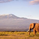 Titik Tertinggi Di Benua Afrika, Kilimanjaro