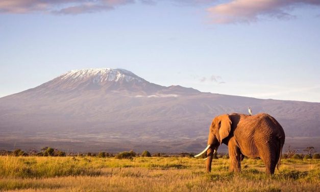 Titik Tertinggi Di Benua Afrika, Kilimanjaro