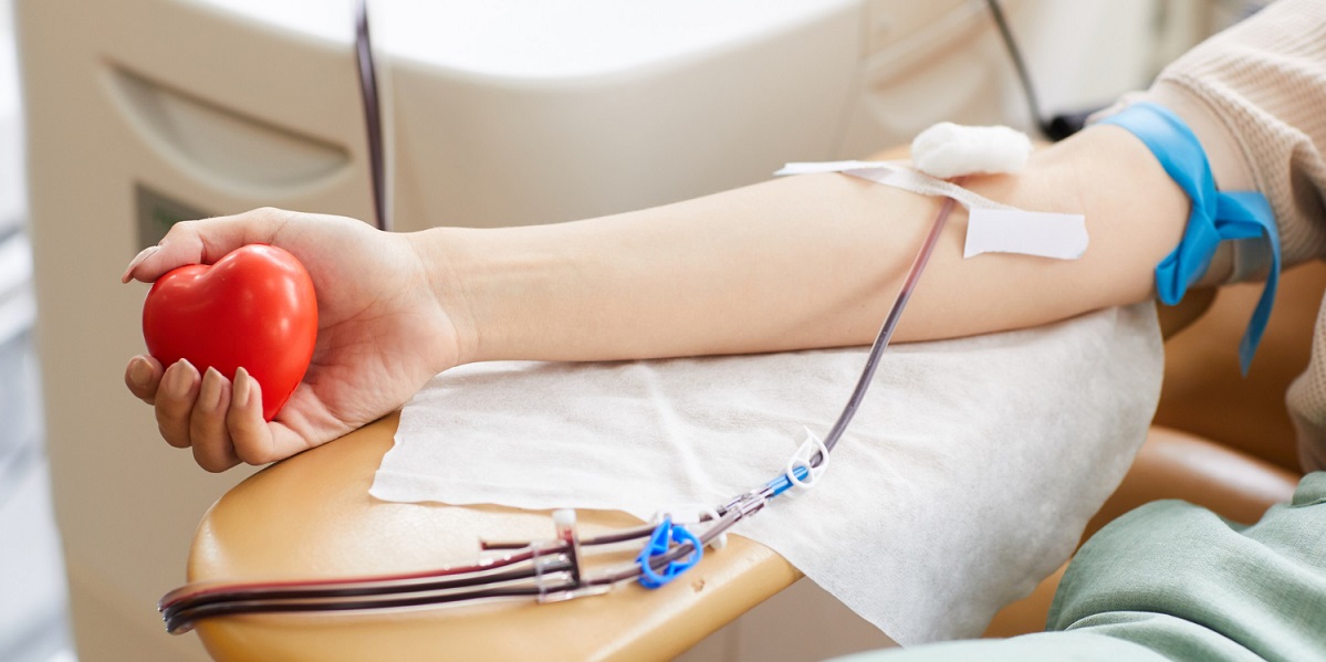 Manfaat Donor Darah Dan Kesehatan Wanita