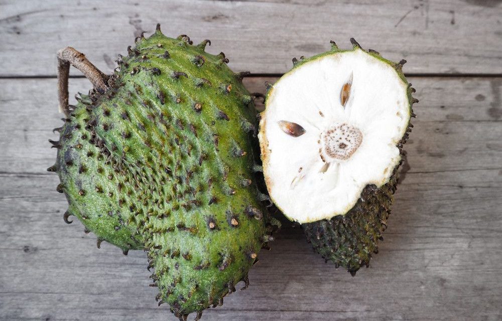 Kandungan Nutrisi Sirsak Yang Baik Untuk Tubuh
