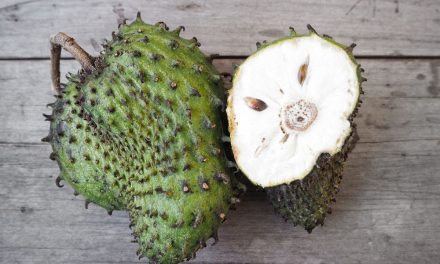 Kandungan Nutrisi Sirsak Yang Baik Untuk Tubuh